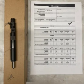 Wtryskiwacz Citroen C4 2.0 HDi – EJBR03801D